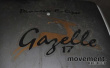 Solgt!Pioneer Eclipse Gazelle 17 - 4 / 6