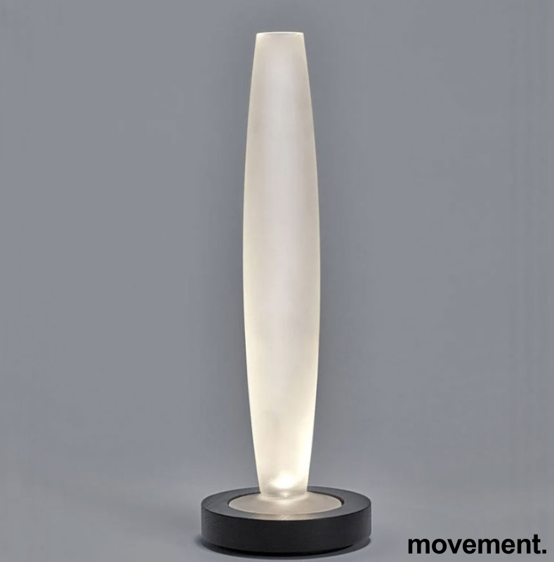 Oppladbar bordlampe LED med vase - 2 / 4
