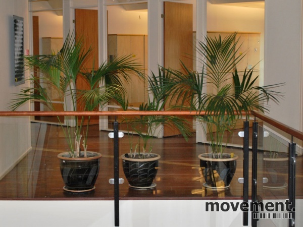 Solgt!Stor grønn plante i blå - 8 / 8