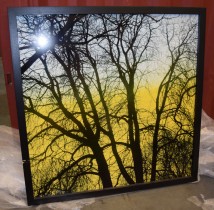 Dekorativt bilde i gult/sort 150x150cm, motiv av trær, print på metall, pent brukt