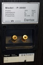 Store gulvhøyttalere fra Dantax,  modell P-3000, 1 par selges samlet, pent brukt