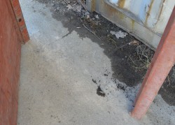 Ståldør / branndør i rødlakkert stål fra Ulefoss Brug, klasse: A60, bredde karm 95cm, høyde karm 212cm, brukt