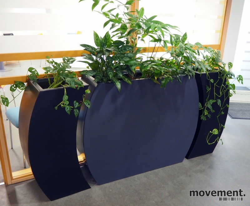 Solgt!Grønne planter i 3 potter, bredde - 2 / 2