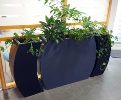 Grønne planter i 3 potter, bredde 190cm, høyde ca 150cm