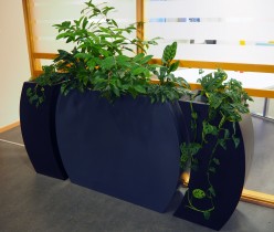 Grønne planter i 3 potter, bredde 190cm, høyde ca 150cm