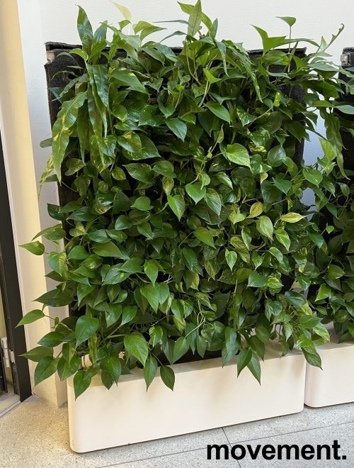 Solgt!Mobil plantevegg / romdeler med