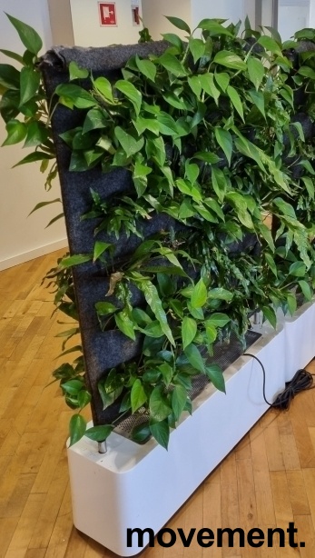 Solgt!Mobil tosidig plantevegg / romdeler - 1 / 2