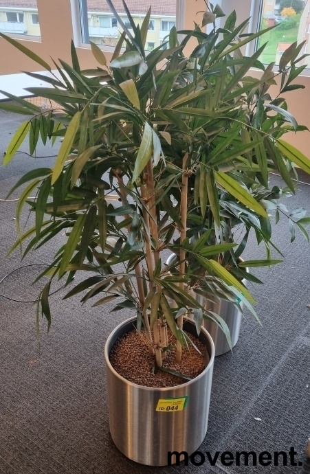 Solgt!Kunstig plante / palme i rund potte - 7 / 12