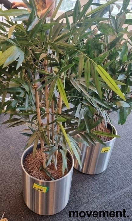 Solgt!Kunstig plante / palme i rund potte - 5 / 12