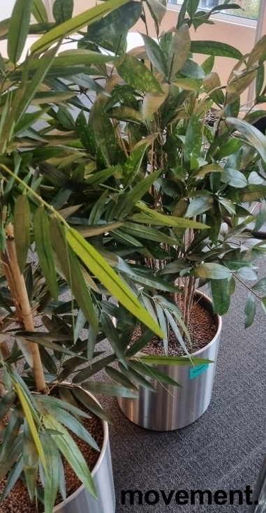Solgt!Kunstig plante / palme i rund potte - 2 / 12