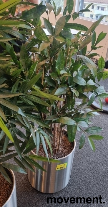 Solgt!Kunstig plante / palme i rund potte - 6 / 12