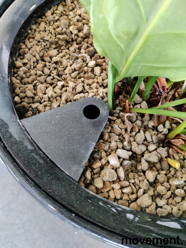 Solgt!Grønn plante, i selvvannende potte, - 3 / 3