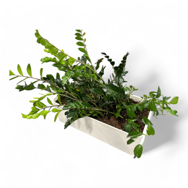 Stor plantekasse for plassering på