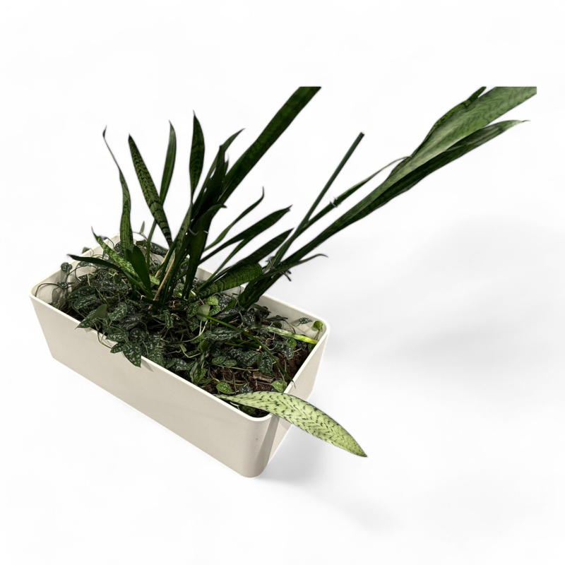 Stor plantekasse for plassering på