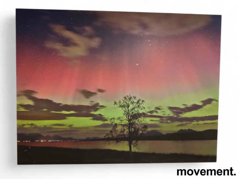 Bilde av nordlys på aluminiumsplate - 1 / 4