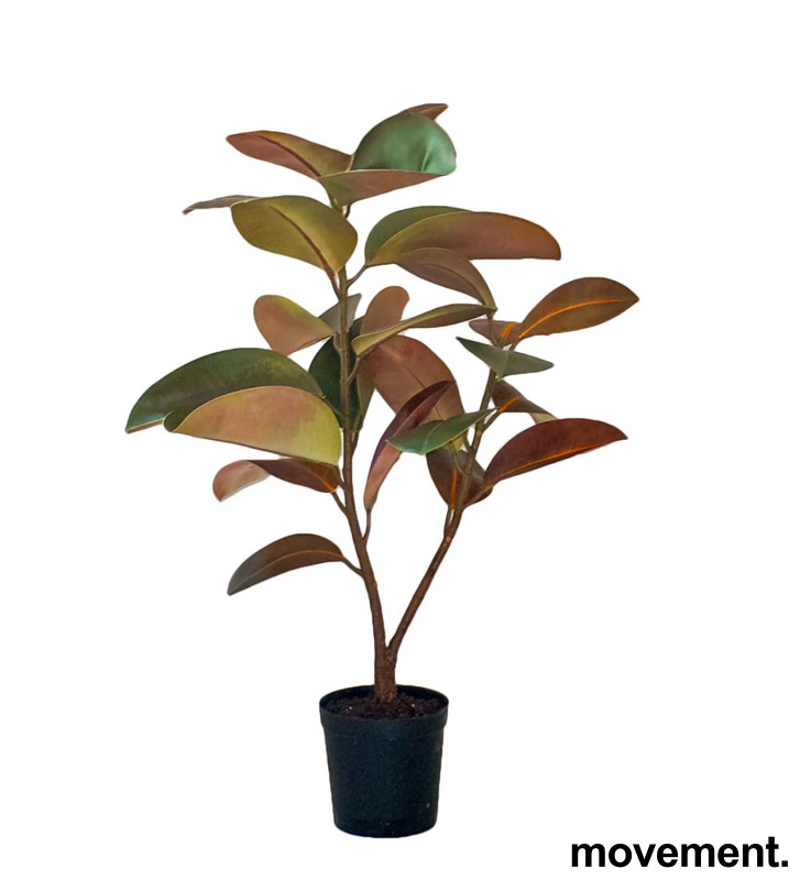 Kunstig plante, Fikus Elastica 900