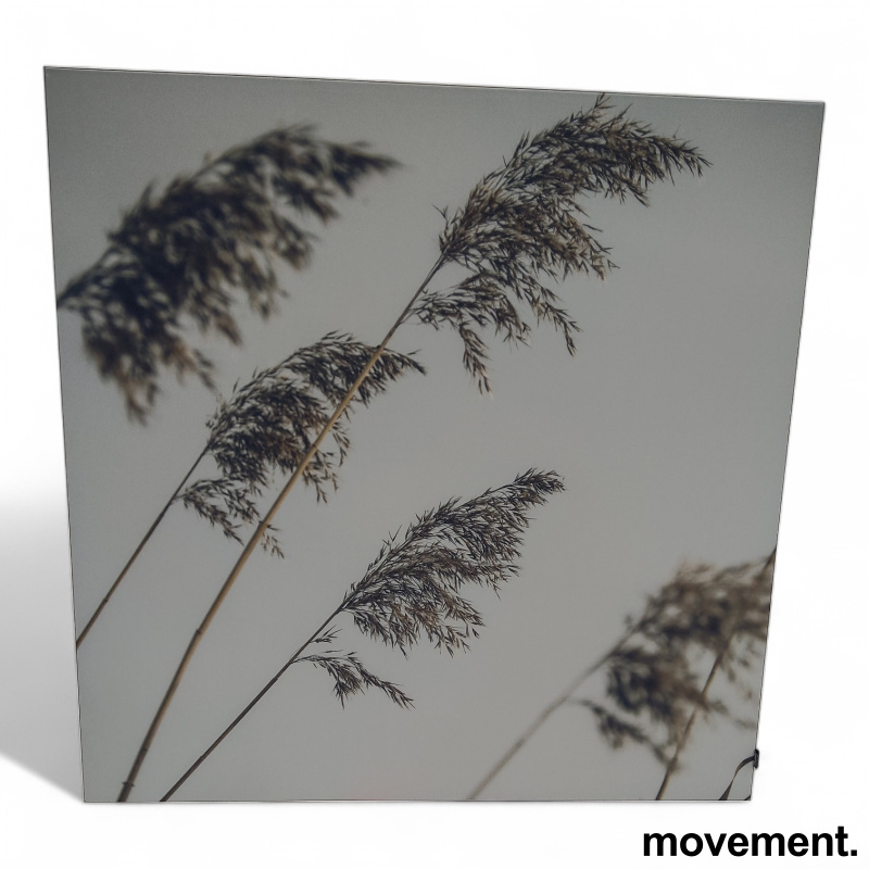 Imagine lydabsorbent 121x121cm