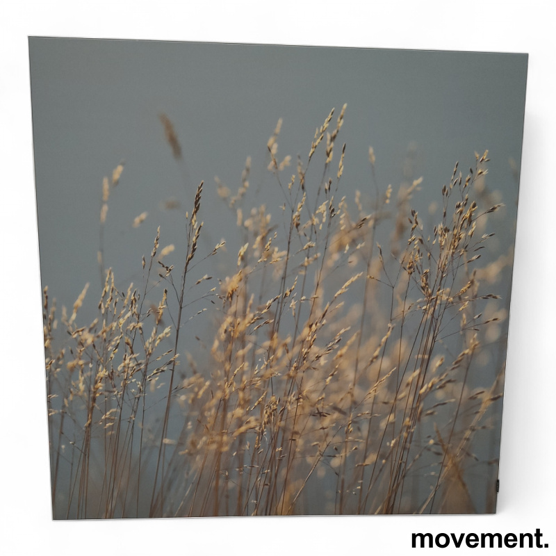 Imagine lydabsorbent 121x121cm