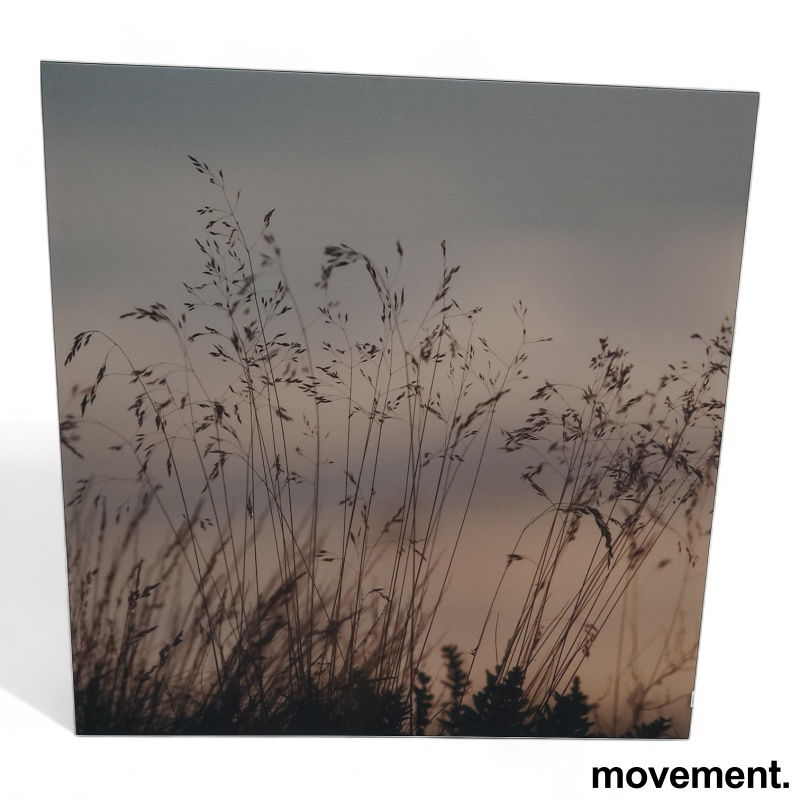 Imagine lydabsorbent 121x121cm