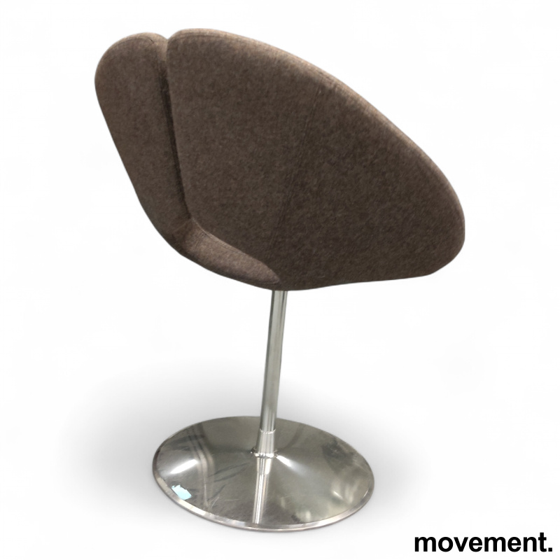 Little Apollo Brunt stoff (Camira - 2 / 3