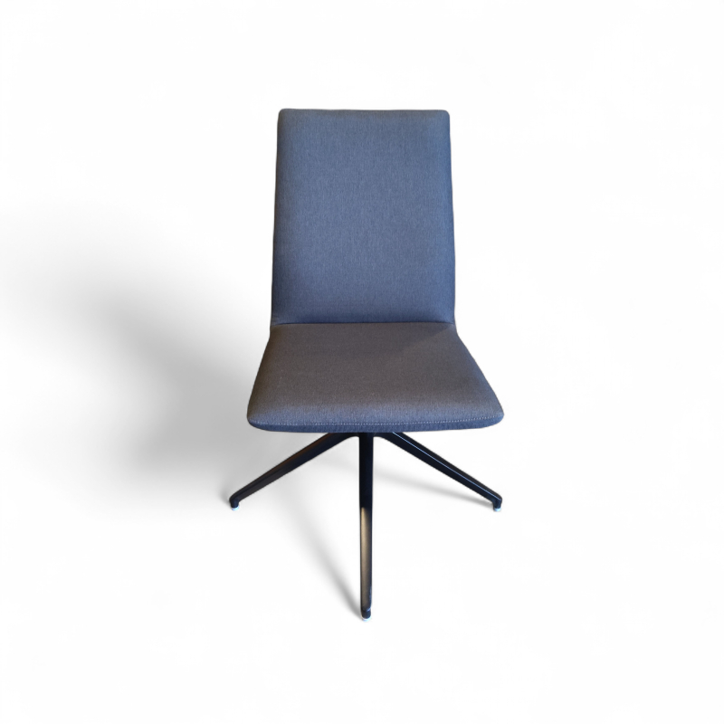 Line meeting Mørkt grått stoff,