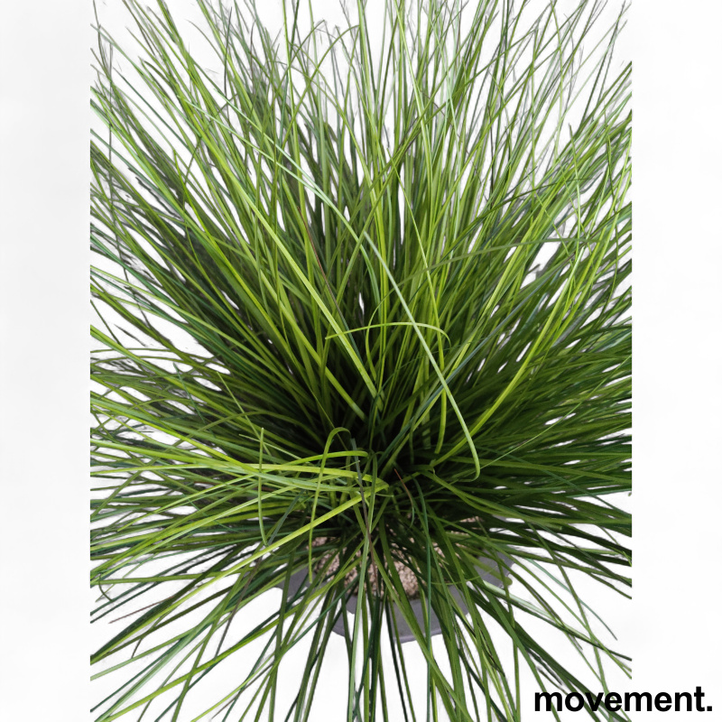 Kunstig plante, "Gress", Carex - 2 / 2