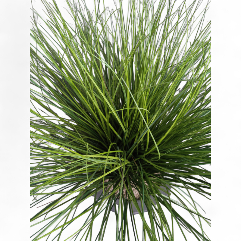 Kunstig plante, "Gress", Carex
