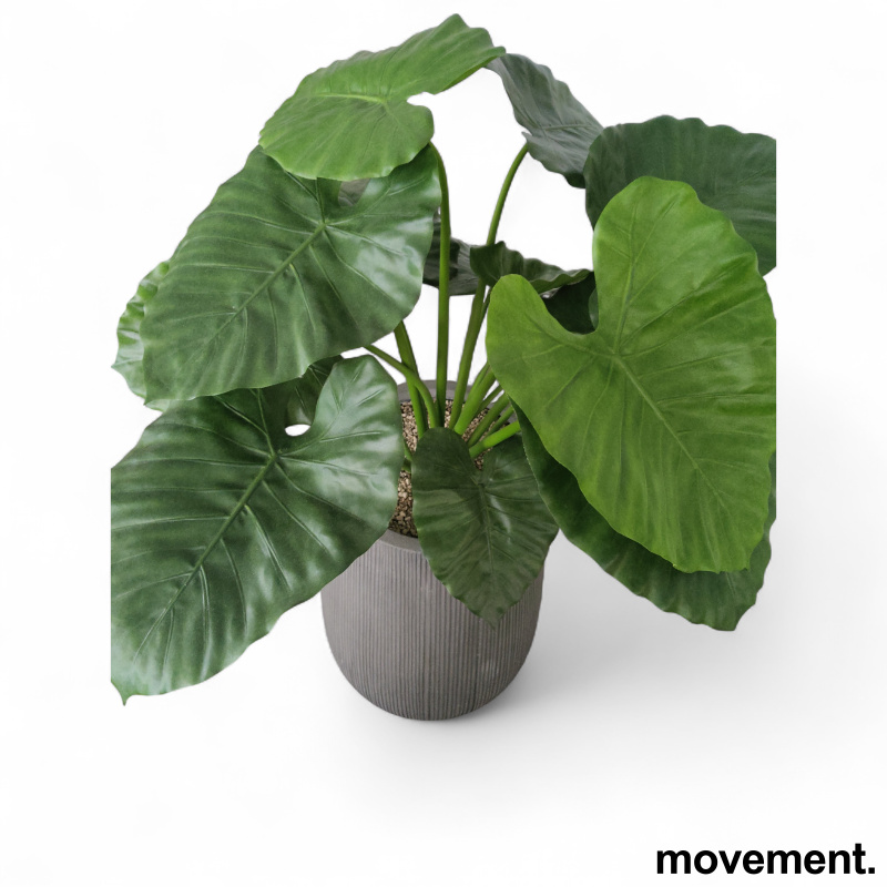 Kunstig plante, Alocasia - 2 / 3