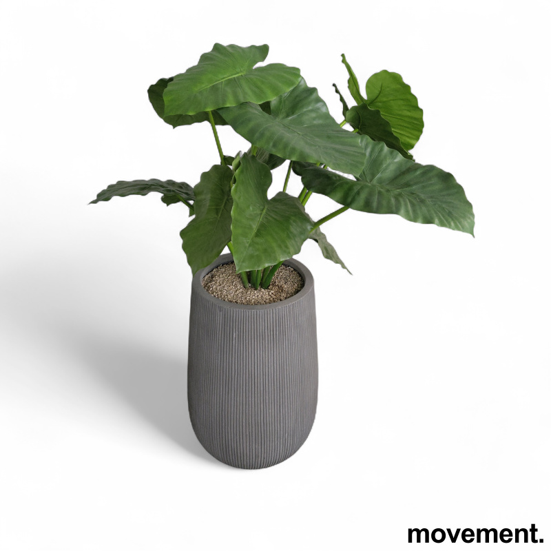 Kunstig plante, Alocasia - 1 / 3