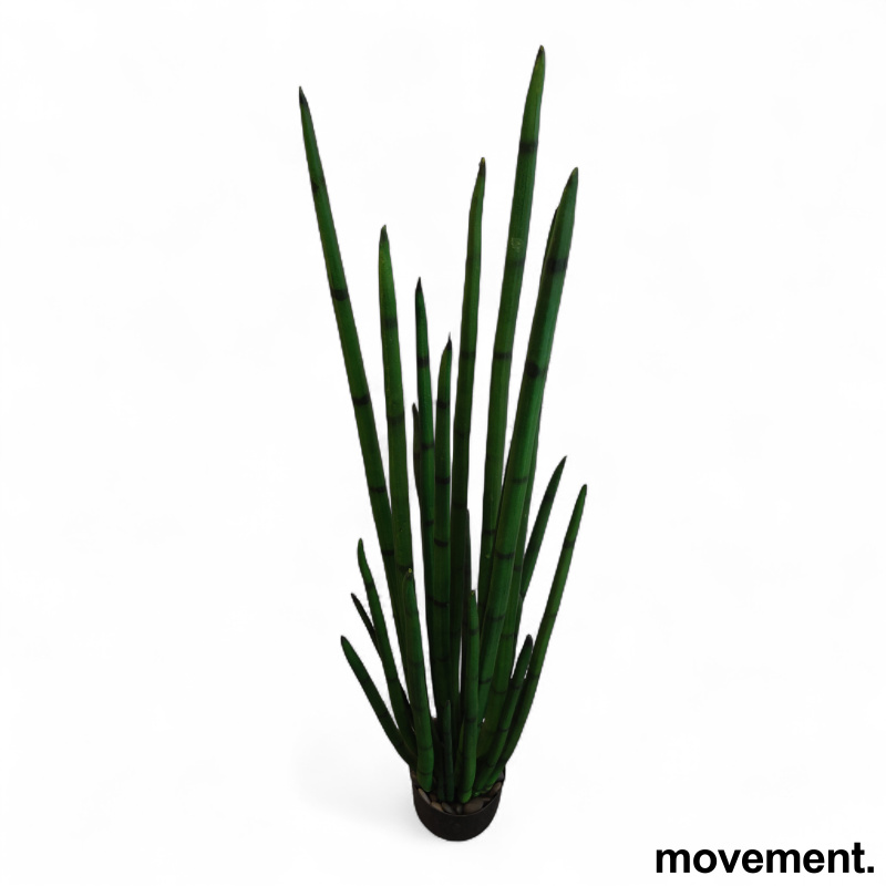 Kunstig plante Sansevieria - 2 / 3