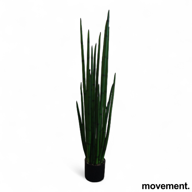 Kunstig plante Sansevieria - 1 / 3