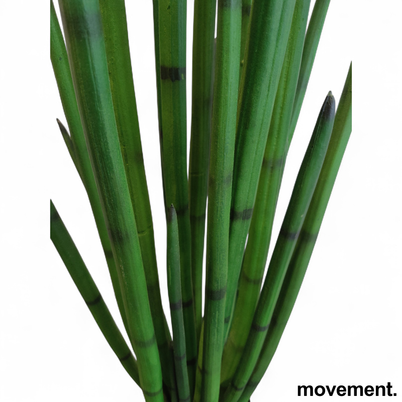 Kunstig plante Sansevieria - 3 / 3