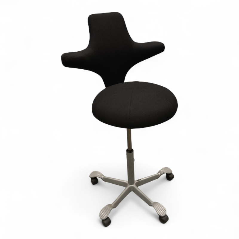 Capisco 8116 rund sittepute,