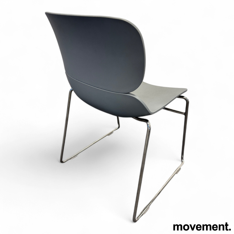 Molo med meieben Grått skall, - 2 / 2