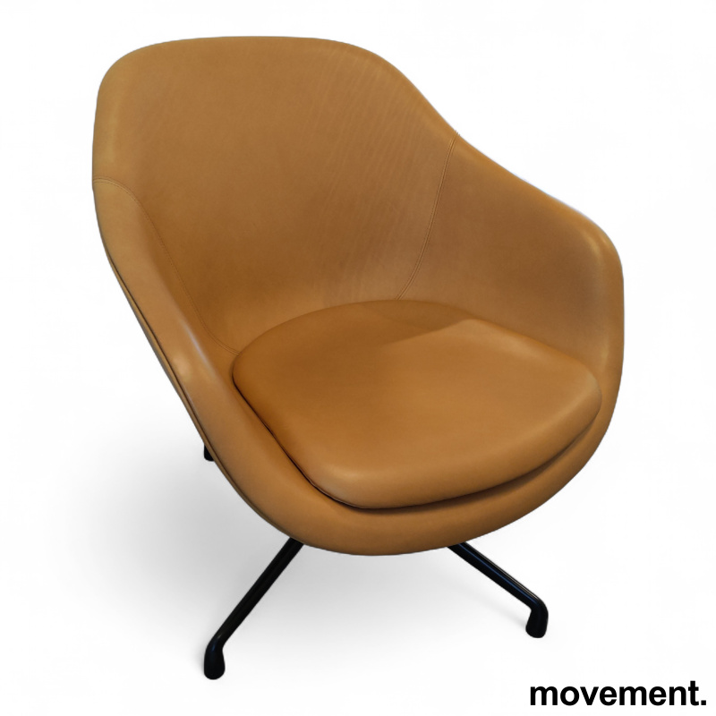 About a lounge AAL 81 med pute - 1 / 2