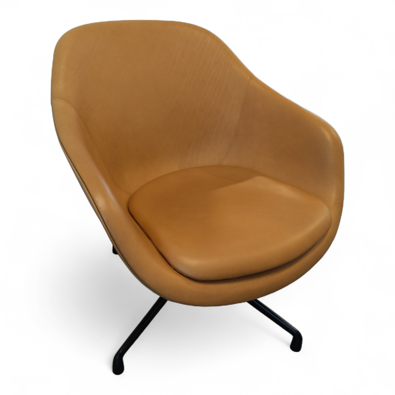 About a lounge AAL 81 med pute