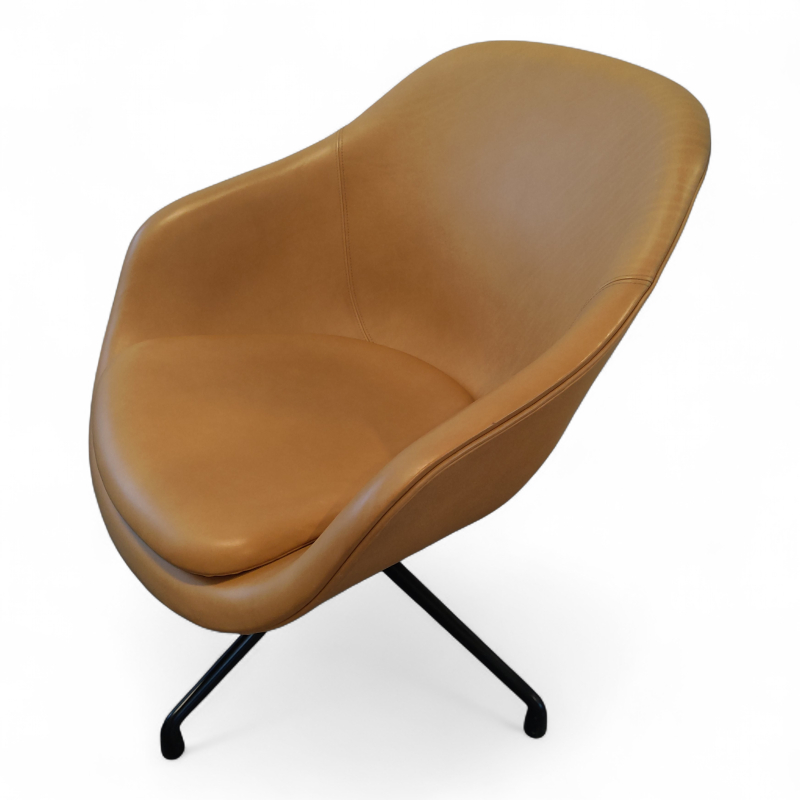 About a lounge AAL 81 med pute