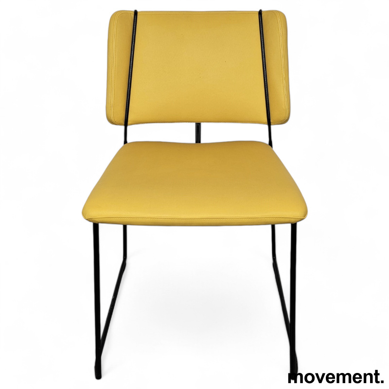 Frankie med meieben Gult stoff