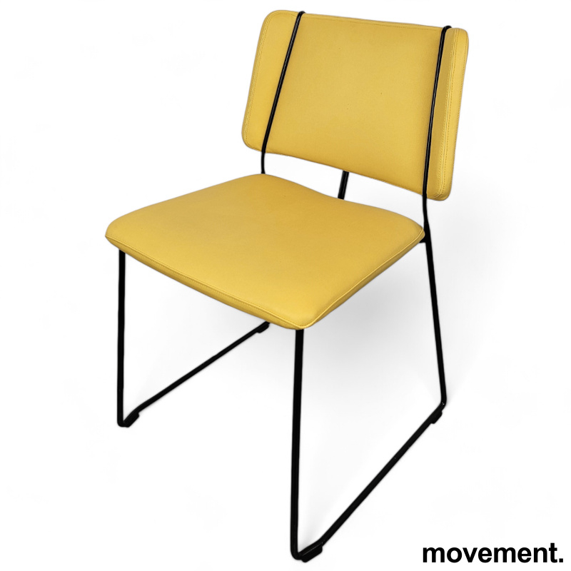 Frankie med meieben Gult stoff