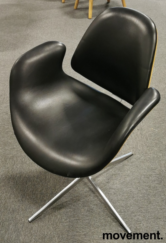 Council Chiar Sort skinn, valnøtt