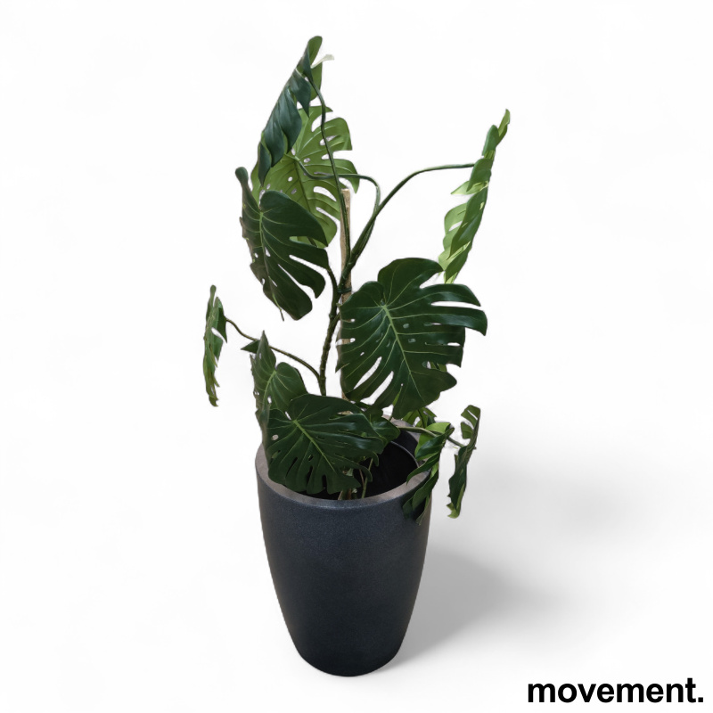 Kunstig plante Monstera i potte - 1 / 2