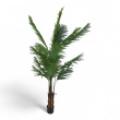 Kunstig Arcea Palme 210cm Grønn, - 1 / 2
