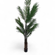 Kunstig Arcea Palme 210cm Grønn, - 2 / 2