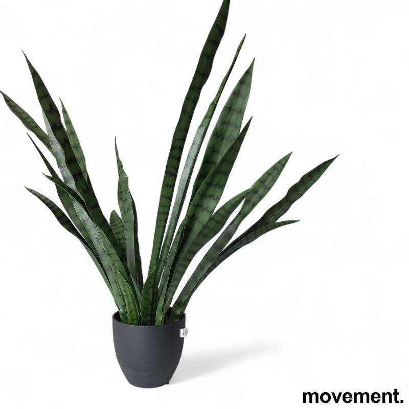 Kunstig plante, Svigermorstunge - 2 / 2