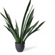 Kunstig plante, Svigermorstunge - 2 / 2