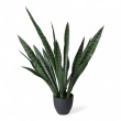 Kunstig plante, Svigermorstunge - 1 / 2