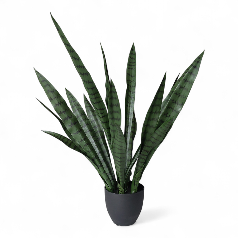 Kunstig plante, Svigermorstunge