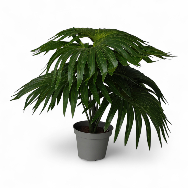 Kunstig plante, Palm 35cm Grå