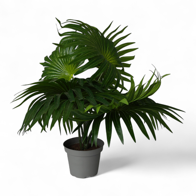 Kunstig plante, Palm 35cm Grå