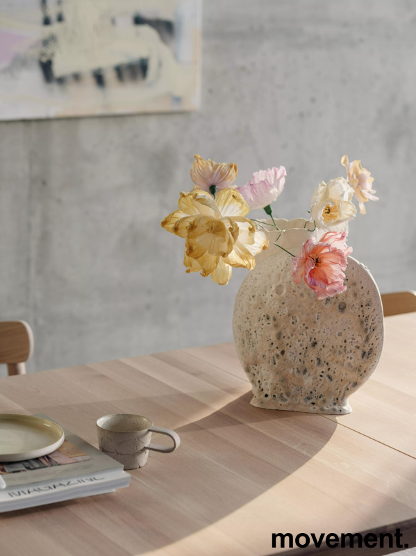 Expand dining table 250x90cm Light - 3 / 4